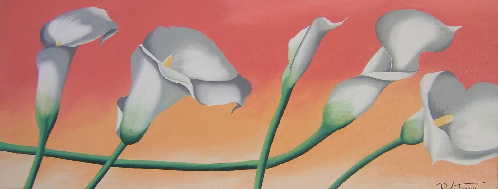 Rossella Montagna CALLE